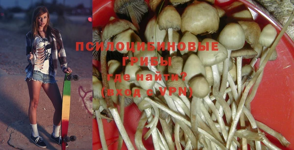 a pvp Абаза