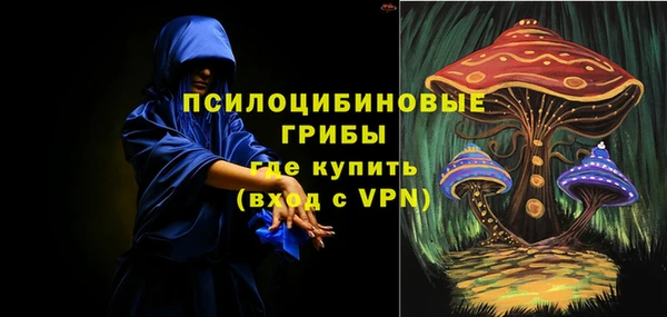 a pvp Абаза