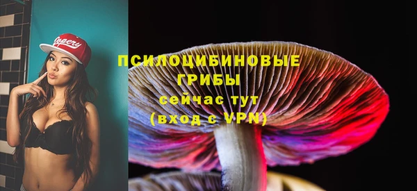 a pvp Абаза