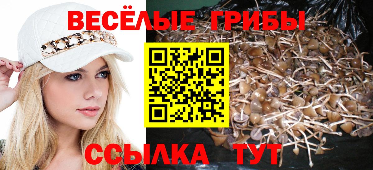 Галлюциногенные грибы Cubensis  Вход с VPN  Фурманов  Псилоцибиновые грибы GOLDEN TEACHER 