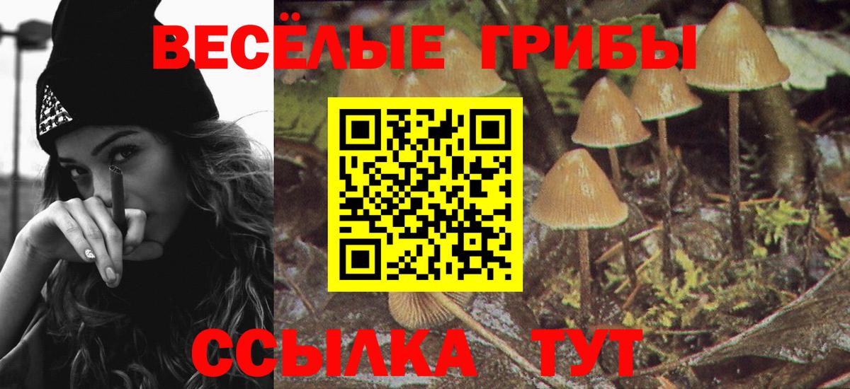 Галлюциногенные грибы GOLDEN TEACHER Фурманов